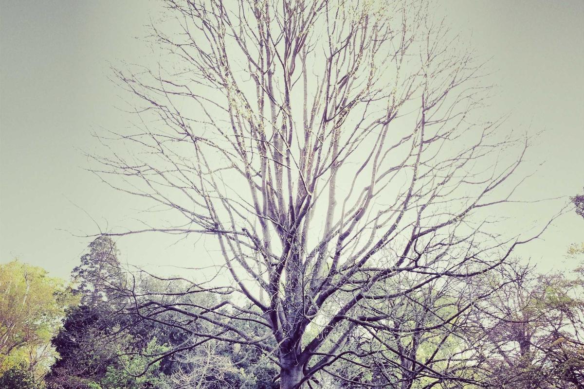 Understanding 651zc00014: The Essential Guide to This Critical Electronic Component post thumbnail image